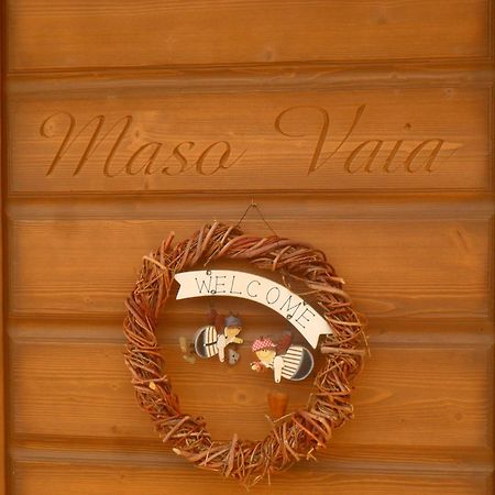 Maso Vaia Bed & Breakfast กาวาเลเซ ภายนอก รูปภาพ