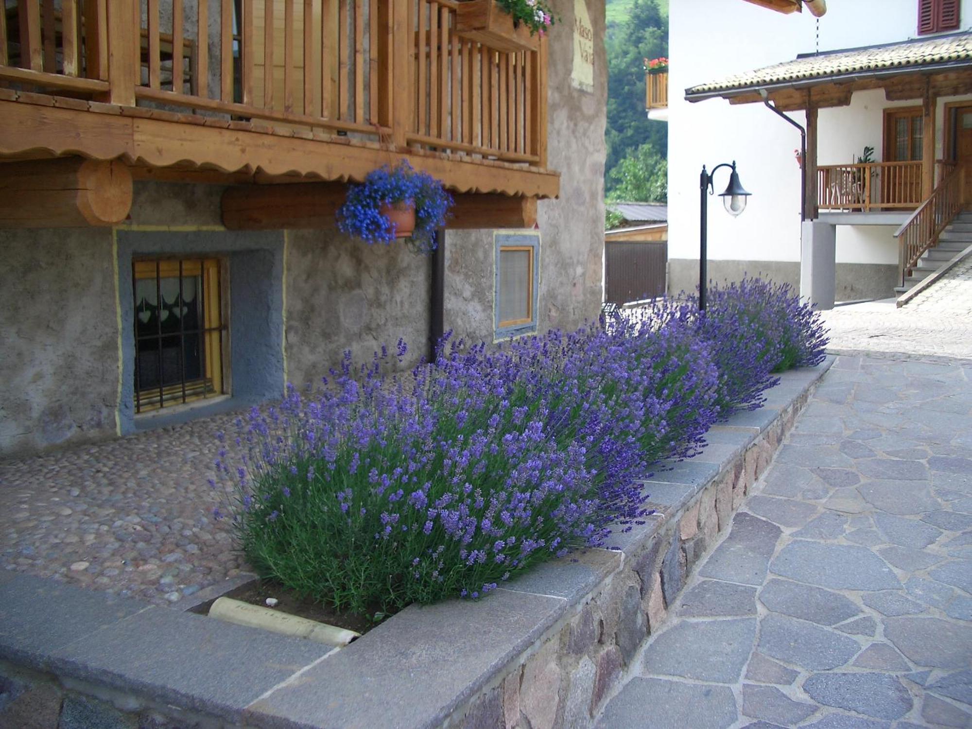 Maso Vaia Bed & Breakfast กาวาเลเซ ภายนอก รูปภาพ